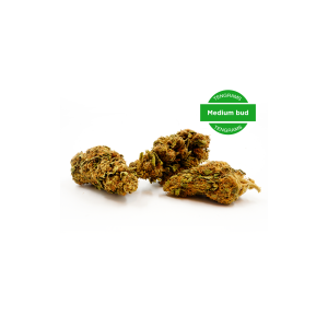 Pré-Rolls CBD - White Rabbit - (Boite de 16)