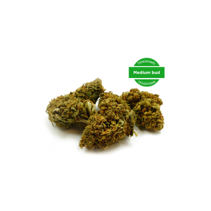Pré-Rolls CBD - White Rabbit - (Boite de 16)