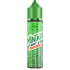 E liquide Mintaia 50ml Eliquid France